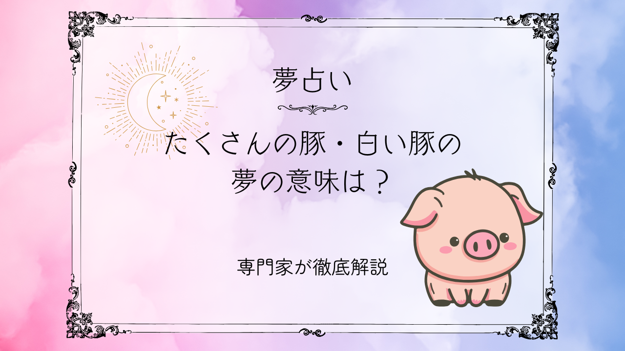 アイキャッチ