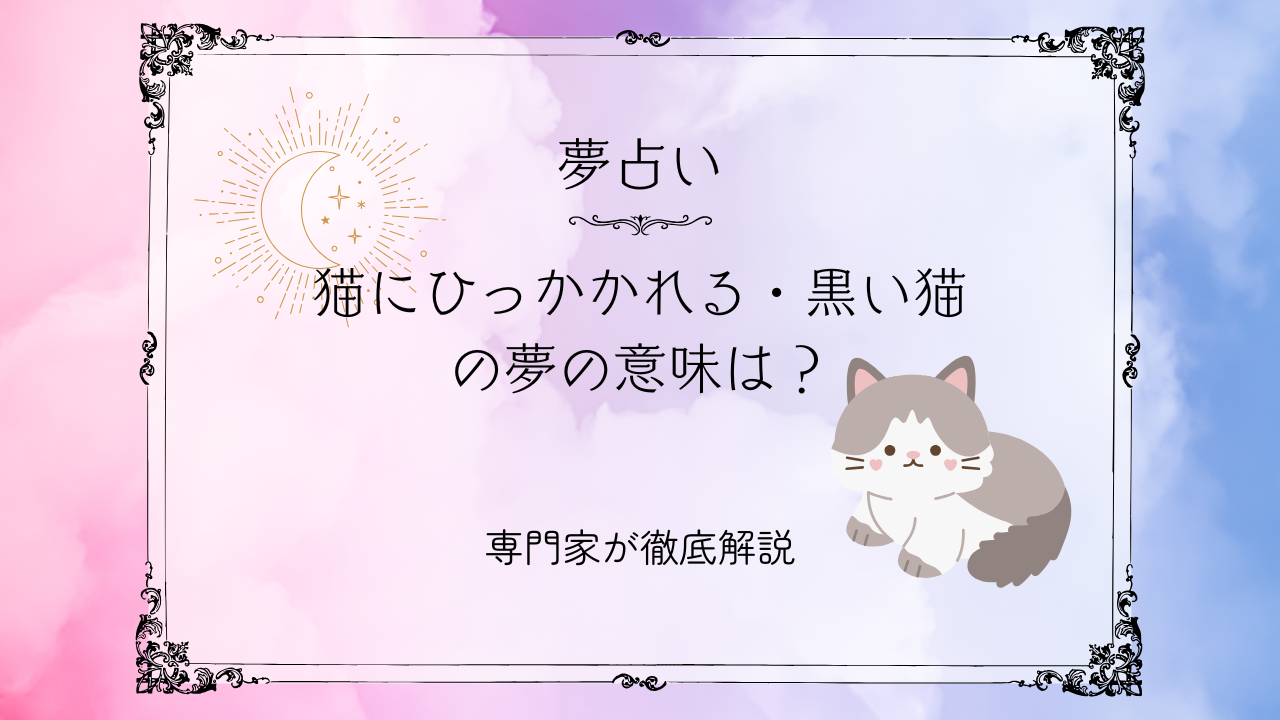 アイキャッチ